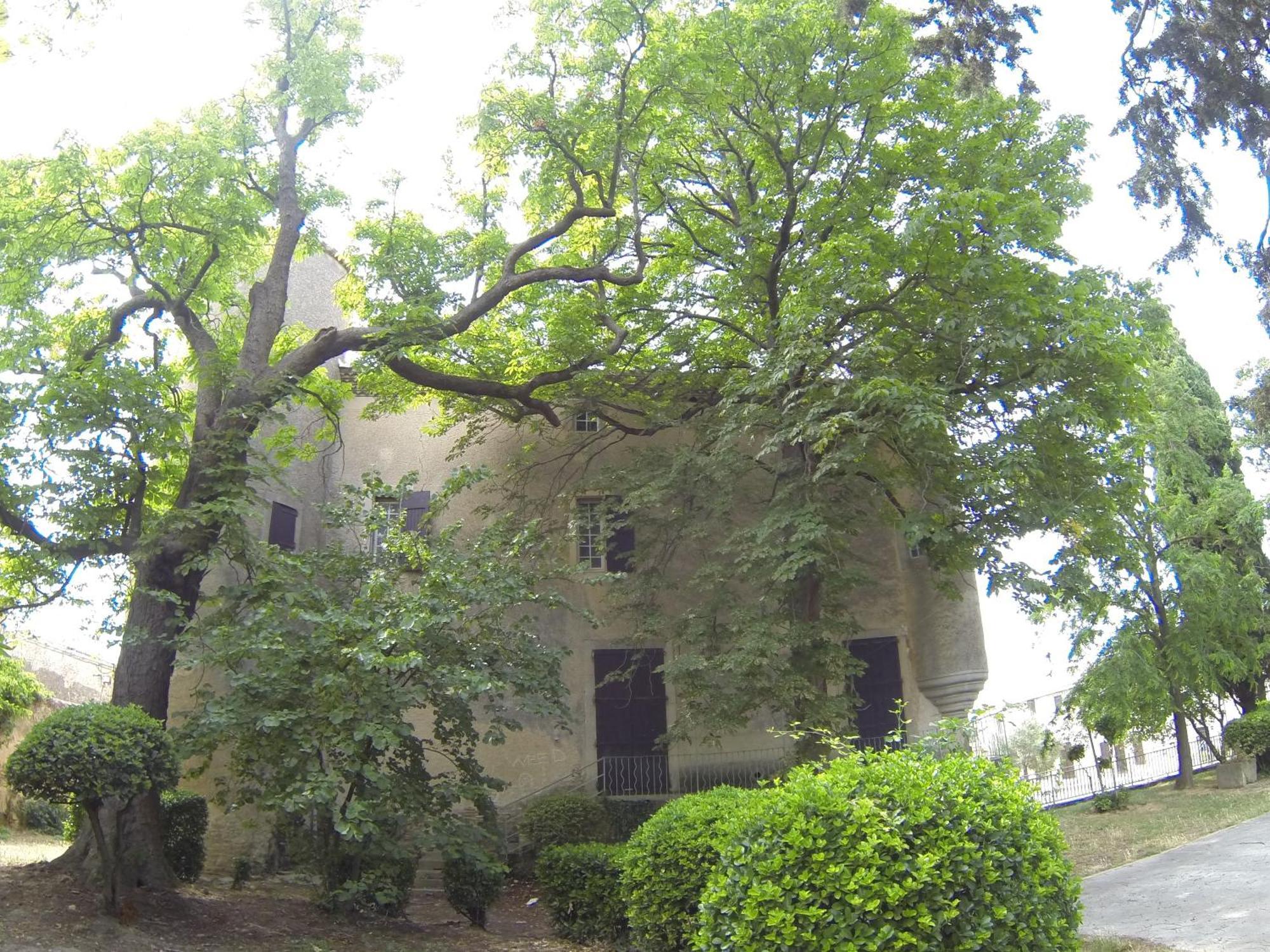 Castel Chambres Malves-en-Minervois エクステリア 写真